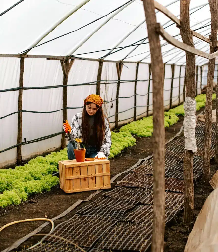 image genossenschaft geartnersiedlungen 02