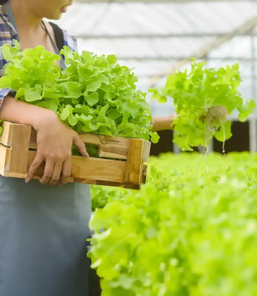 image genossenschaft geartnersiedlungen 03